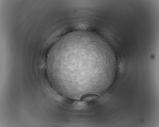 X0000110970665200907022246