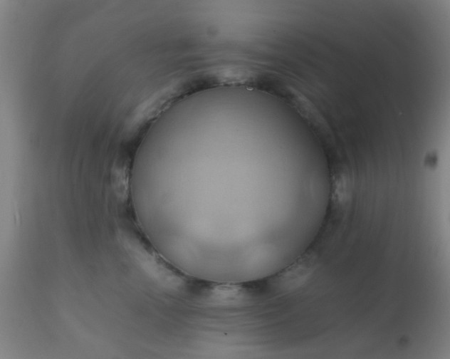 X0000110970666200907022246