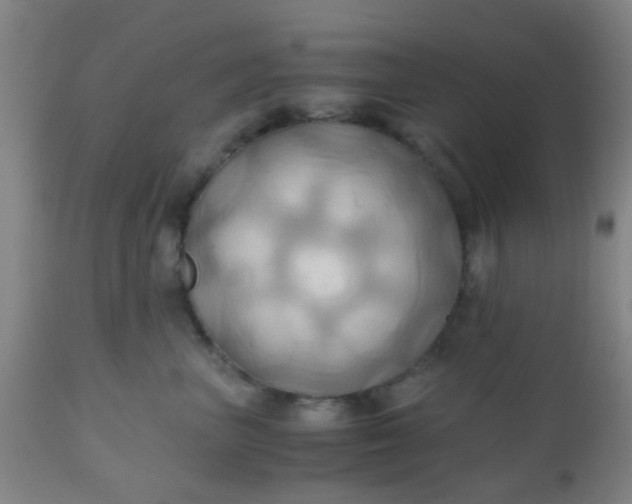 X0000110970667200907022246