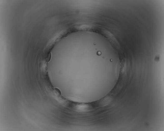 X0000110970669200907022246