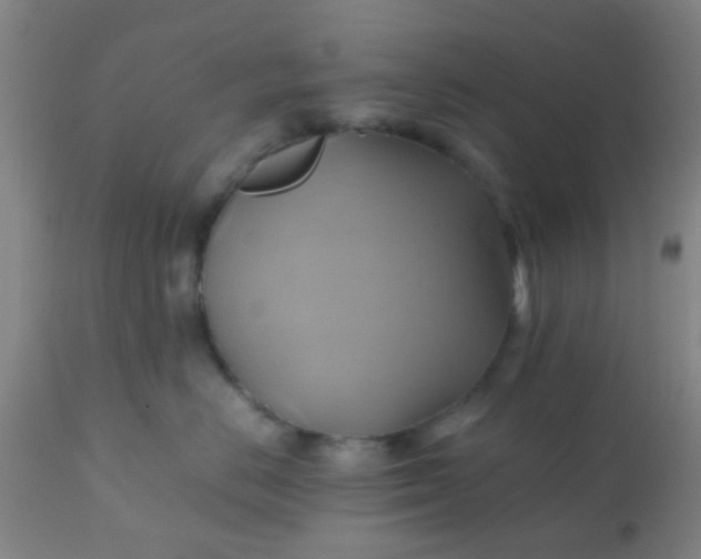 X0000110970670200907022246