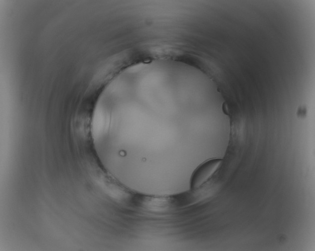 X0000110970671200907022246