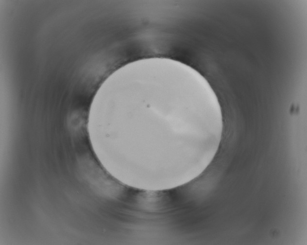 X0000110970672200907022246