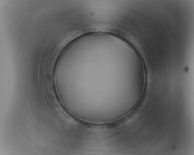 X0000110970673200907022245