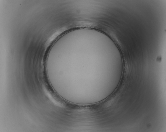 X0000110970674200907022245