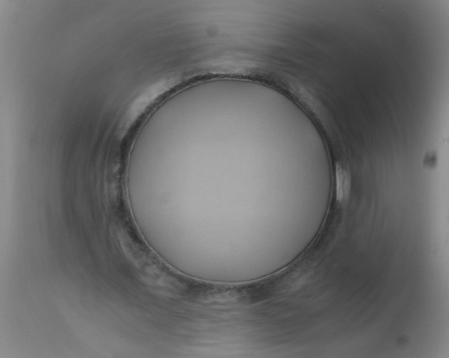 X0000110970675200907022245