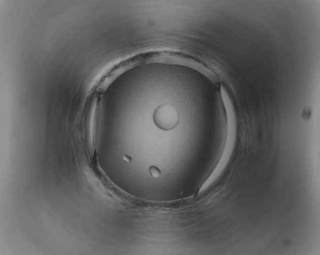 X0000110970676200907022245