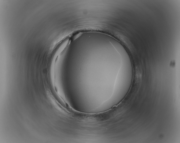 X0000110970677200907022245