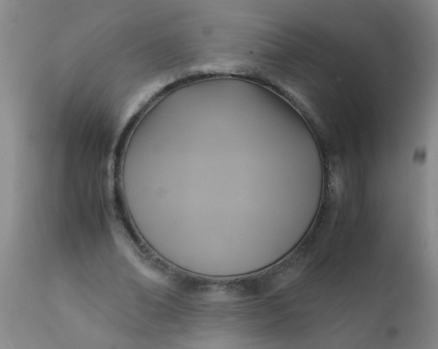 X0000110970678200907022245