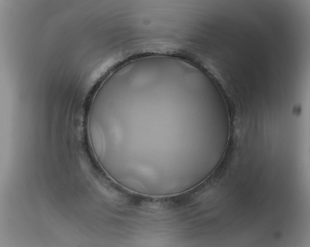 X0000110970679200907022245