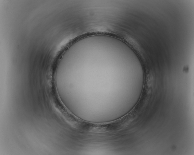 X0000110970680200907022245