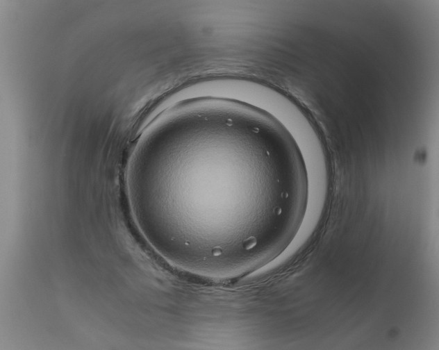 X0000110970681200907022245