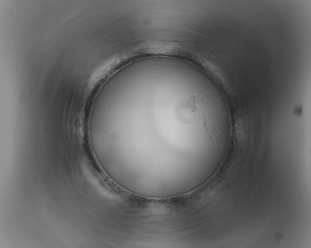 X0000110970682200907022245