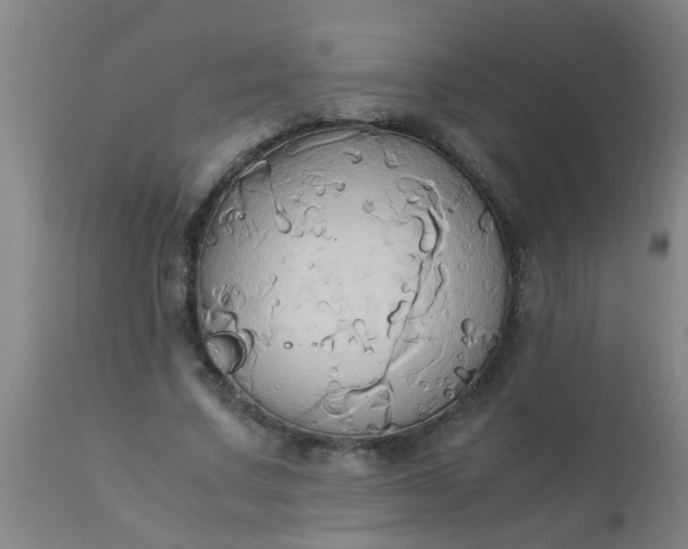 X0000110970683200907022245