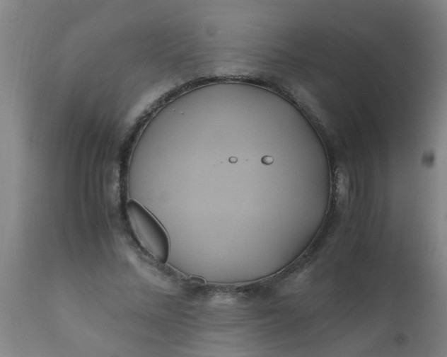 X0000110970684200907022245