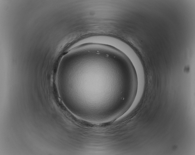 X0000110970685200907022245