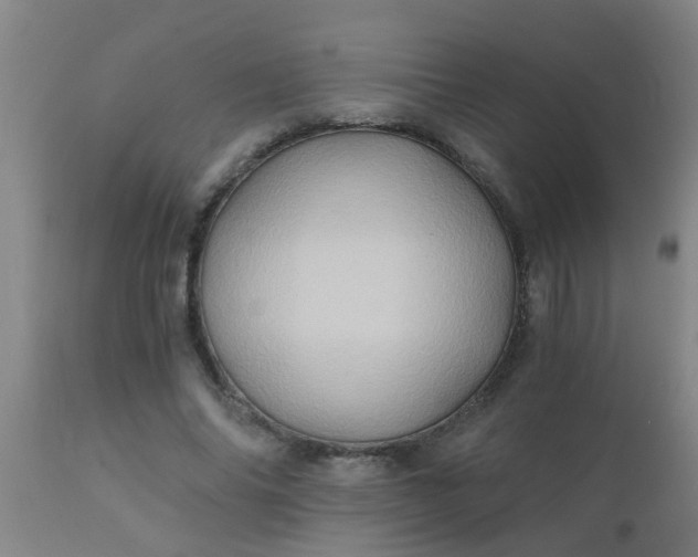 X0000110970686200907022245