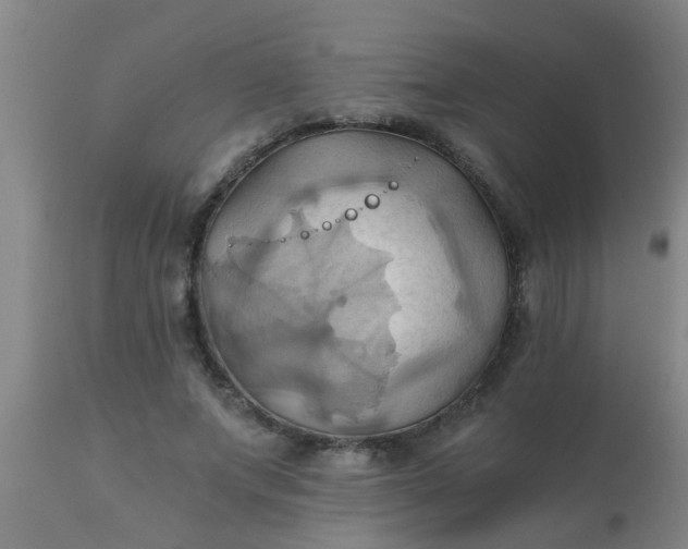 X0000110970687200907022245