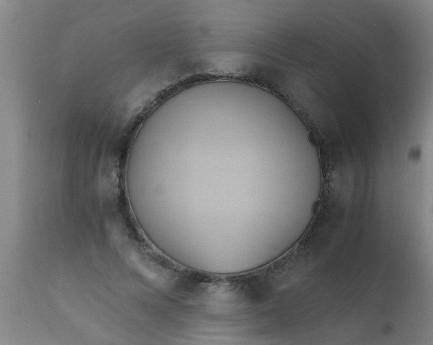 X0000110970688200907022245