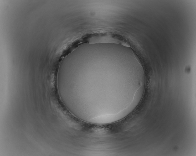 X0000110970689200907022245