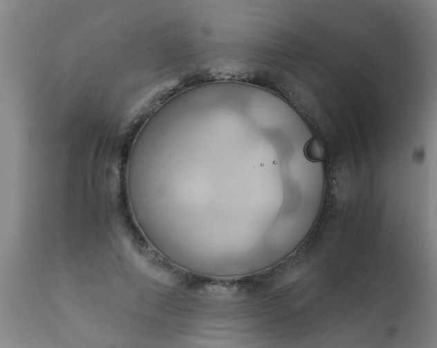 X0000110970690200907022245