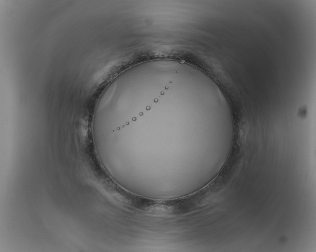 X0000110970691200907022245