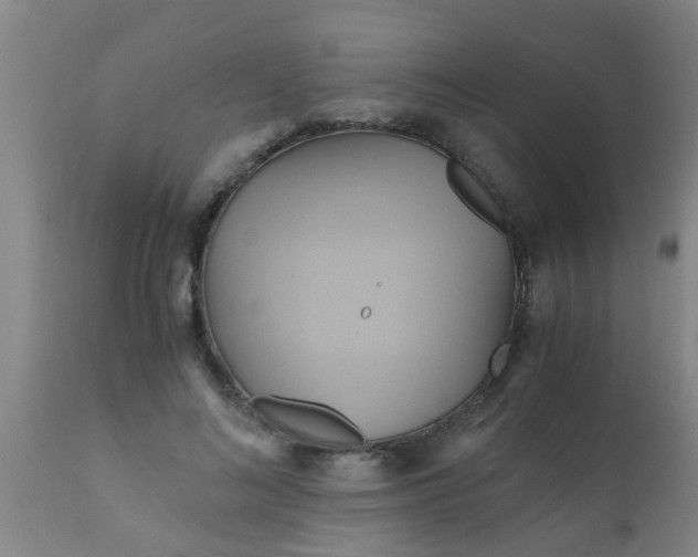 X0000110970692200907022245