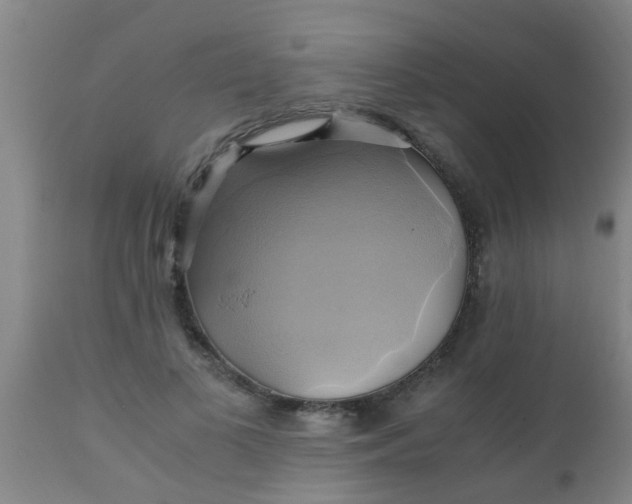 X0000110970693200907022245