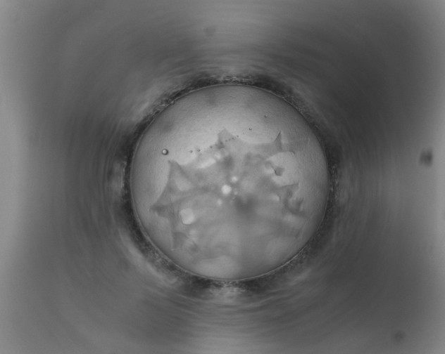 X0000110970695200907022245