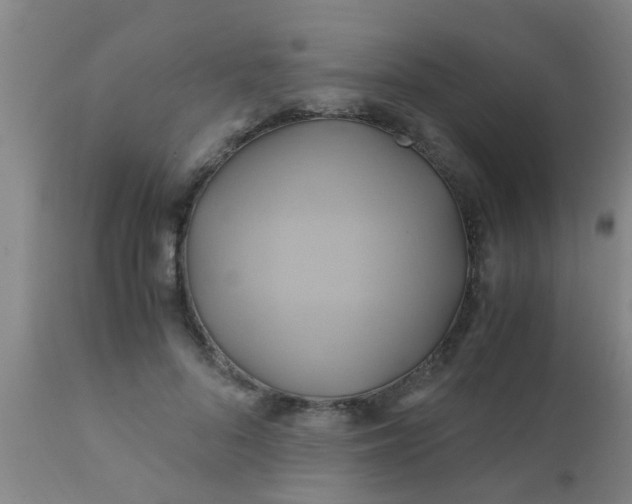 X0000110970696200907022245