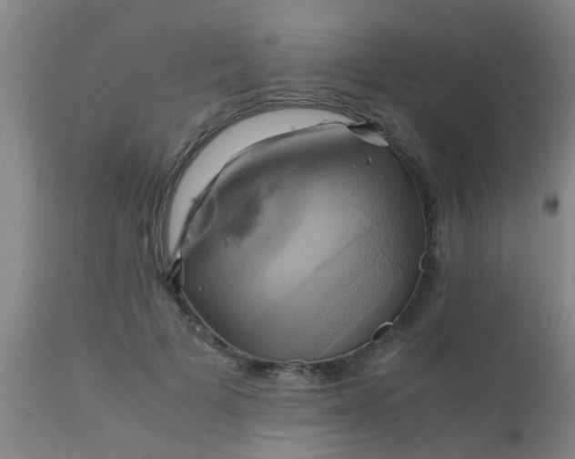 X0000110970697200907022245