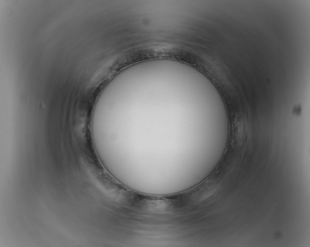 X0000110970698200907022245