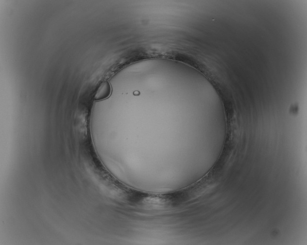 X0000110970699200907022245