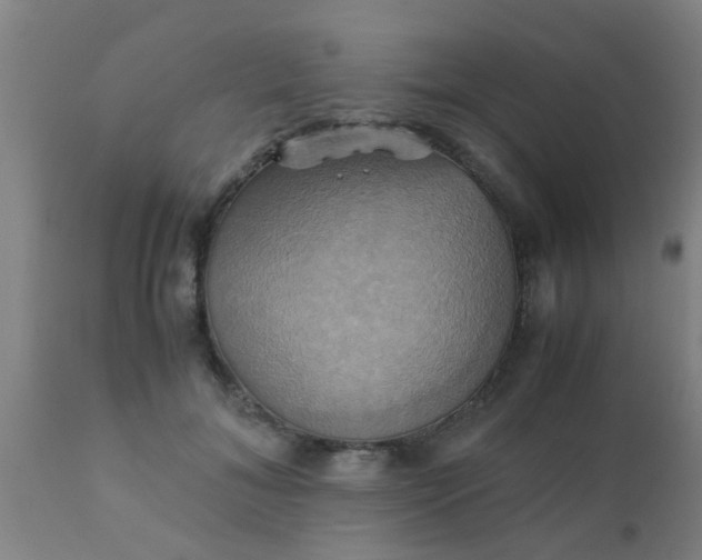 X0000110970700200907022245