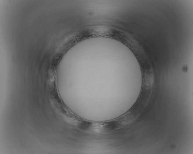 X0000110970701200907022245