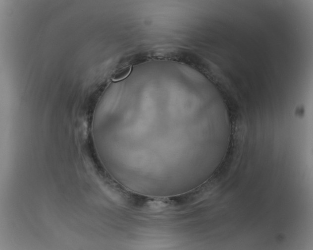 X0000110970703200907022245