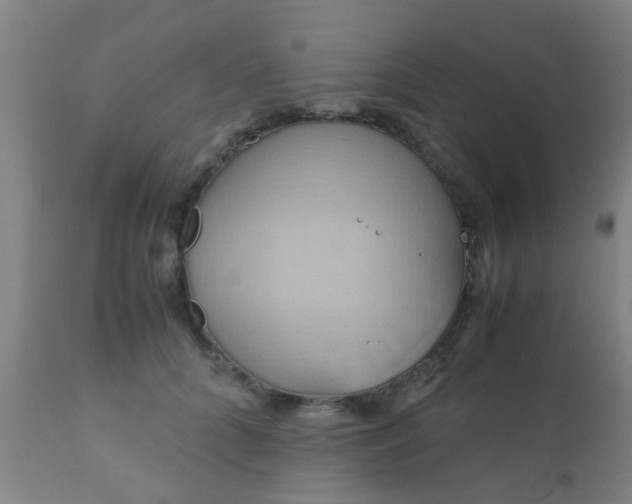 X0000110970704200907022245