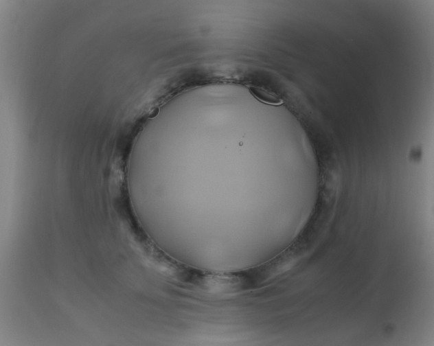 X0000110970707200907022245