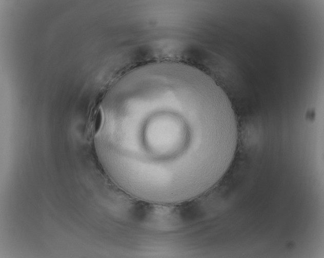 X0000110970709200907022245