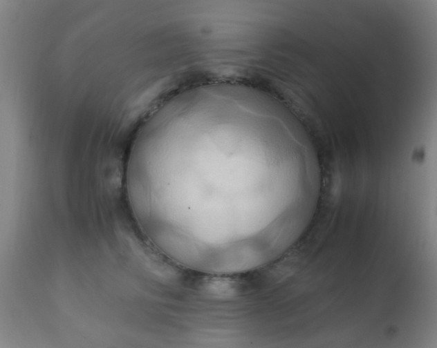 X0000110970710200907022245