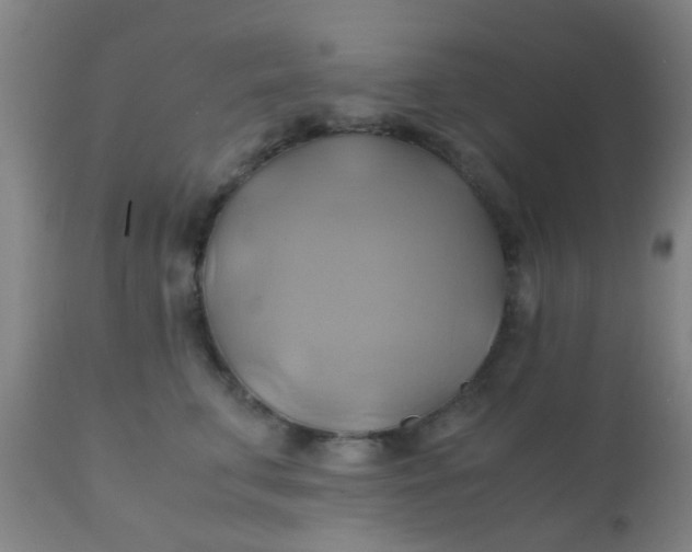 X0000110970711200907022245