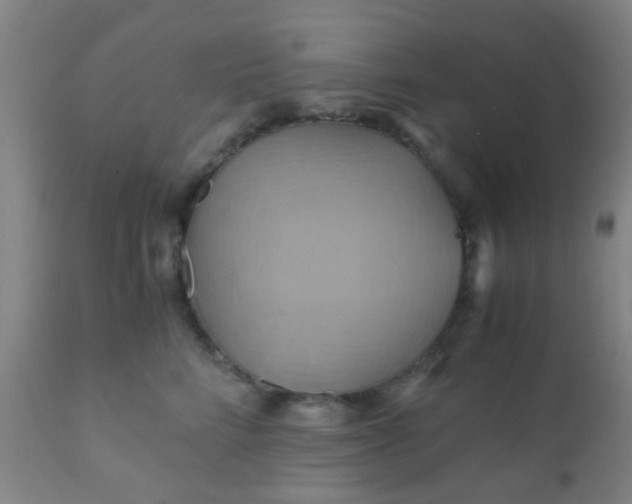 X0000110970712200907022245