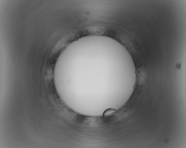 X0000110970713200907022245