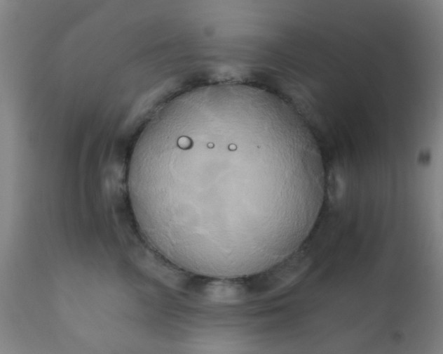 X0000110970714200907022245