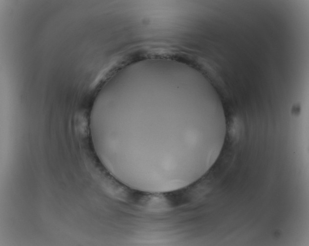 X0000110970715200907022245