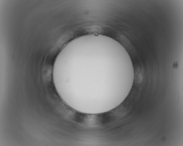 X0000110970717200907022245