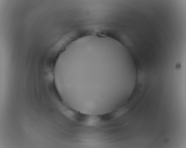 X0000110970719200907022244