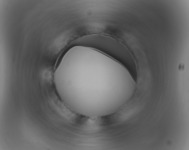 X0000110970720200907022244