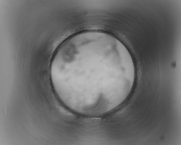 X0000110970721200907022244