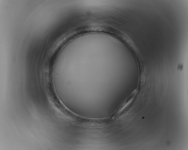 X0000110970722200907022244